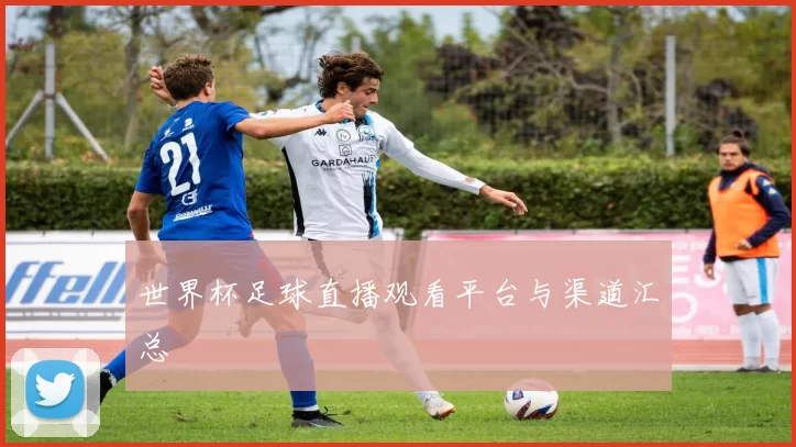 世界杯足球直播观看平台与渠道汇总