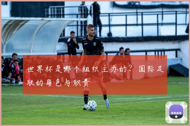世界杯是哪个组织主办的？国际足联的角色与职责