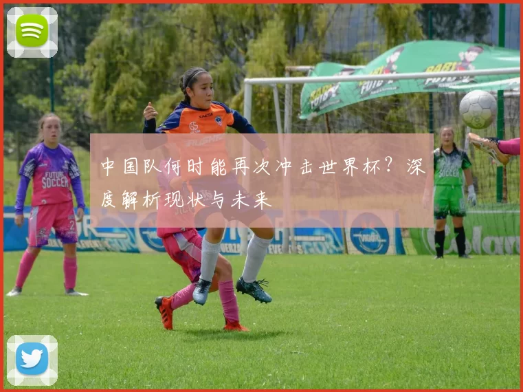 中国队何时能再次冲击世界杯?深度解析现状与未来