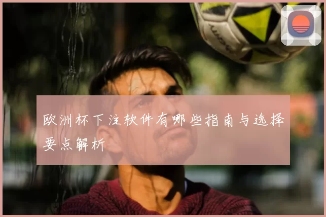 欧洲杯下注软件有哪些指南与选择要点解析