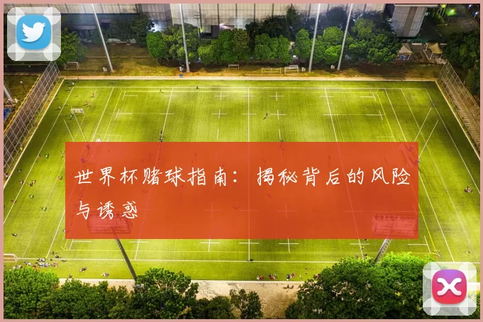 世界杯赌球指南：揭秘背后的风险与诱惑
