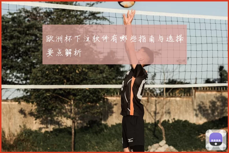 欧洲杯下注软件有哪些指南与选择要点解析