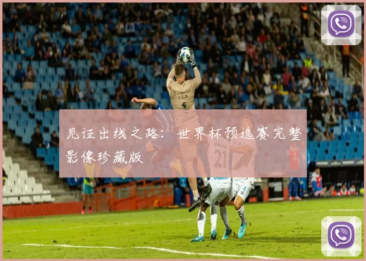 见证出线之路:世界杯预选赛完整影像珍藏版
